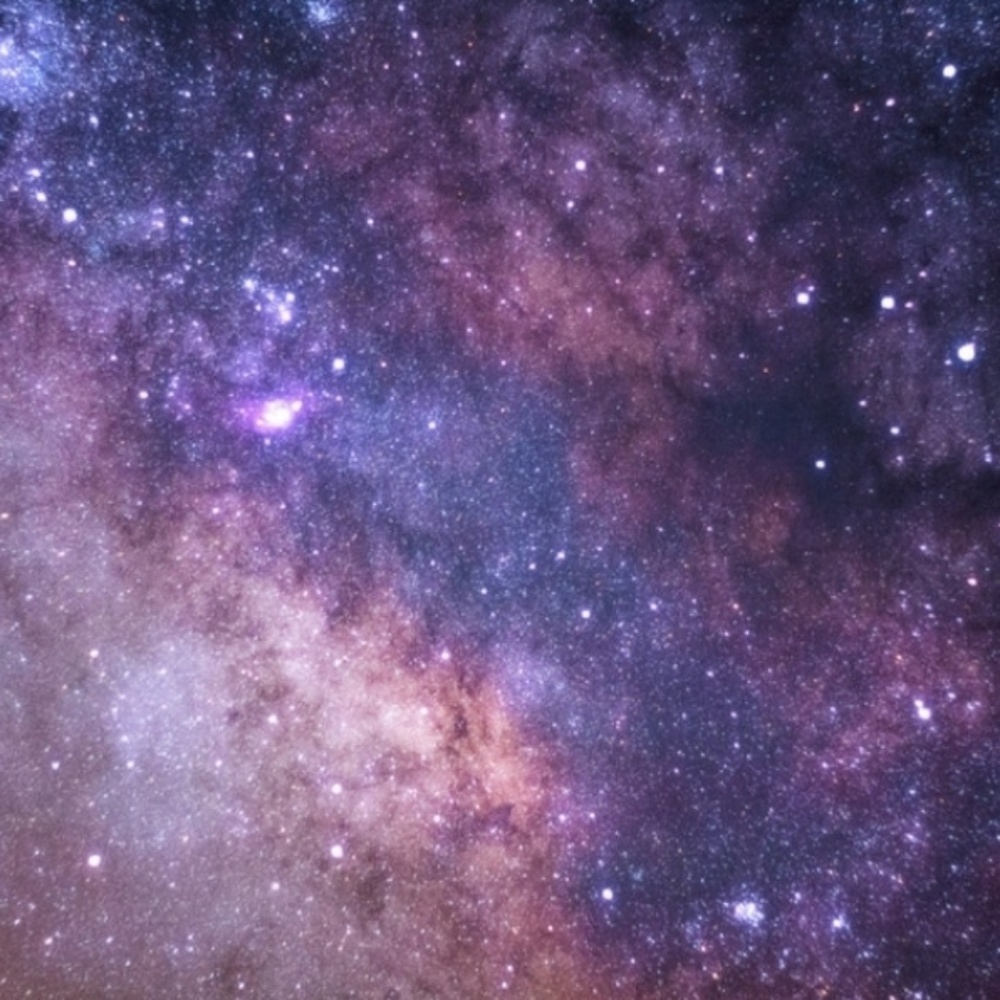 Meet your Posher, Abigail